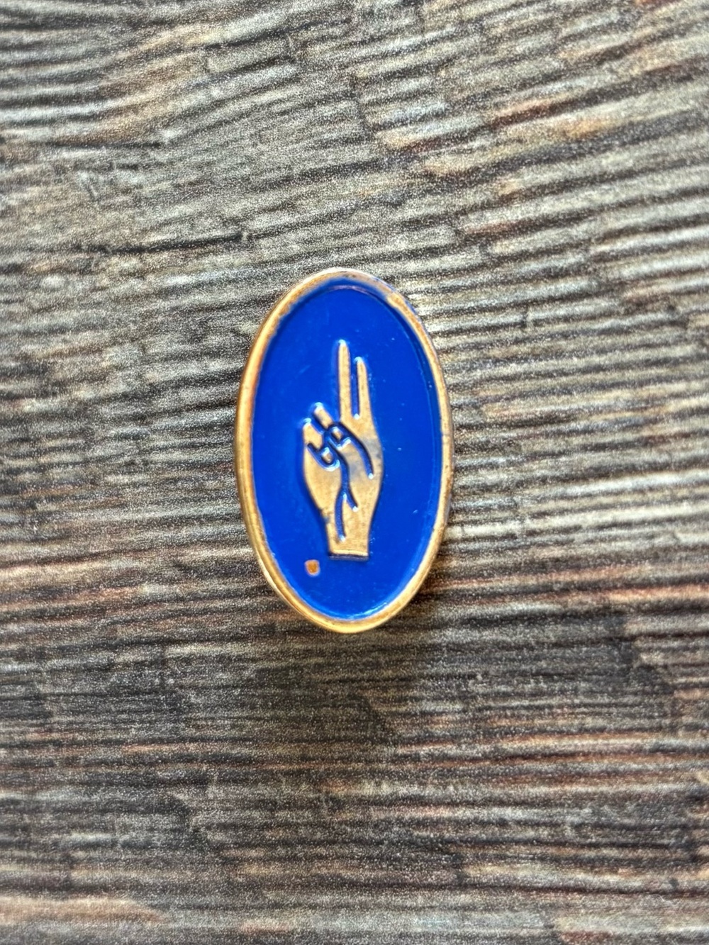 Vintage Brownie Girl Scout Two-Finger Salute Pin Blue Enamel Gold Tone Oval GSA